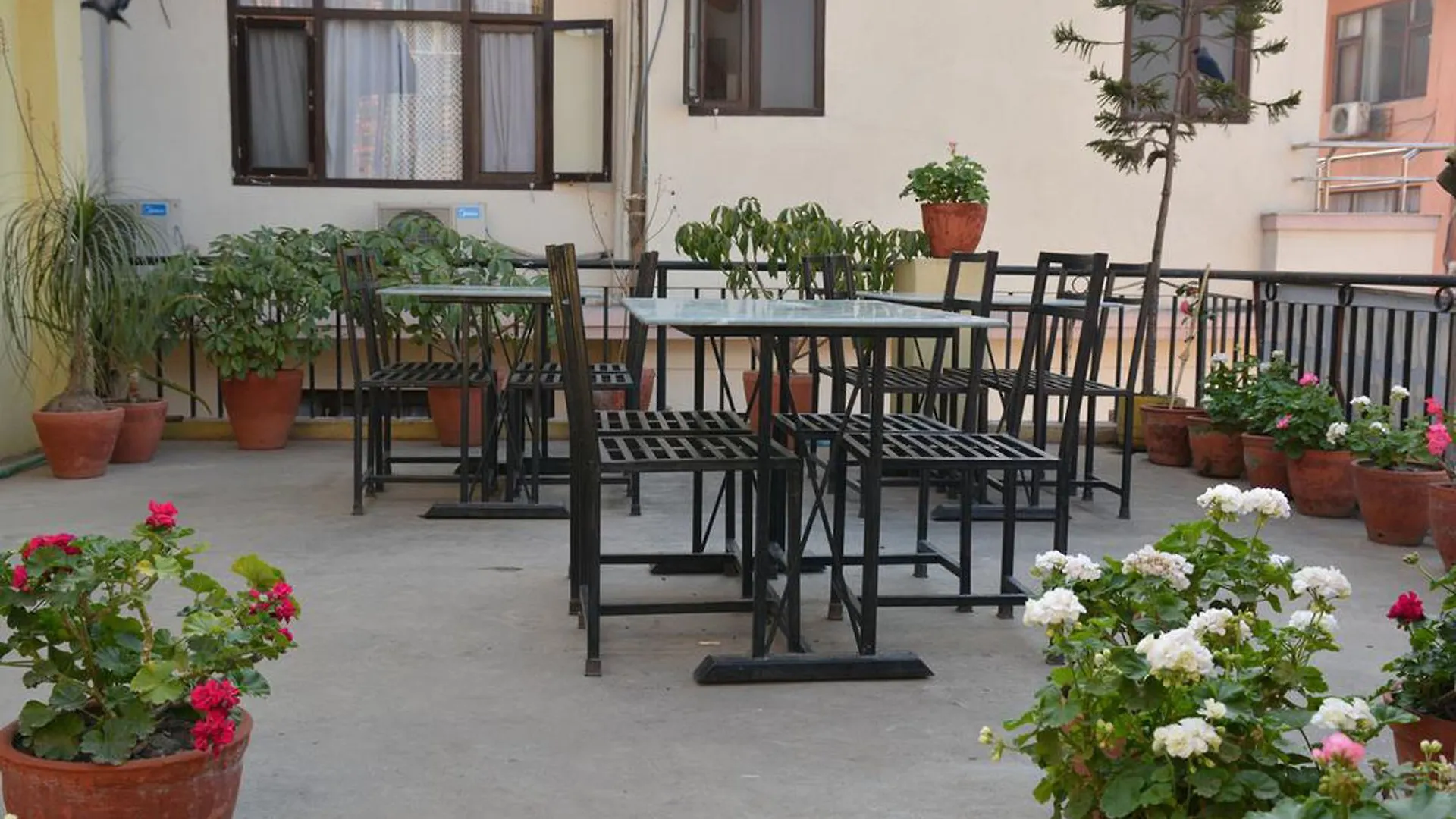 Hotel Green Orchid Kathmandu Guest house