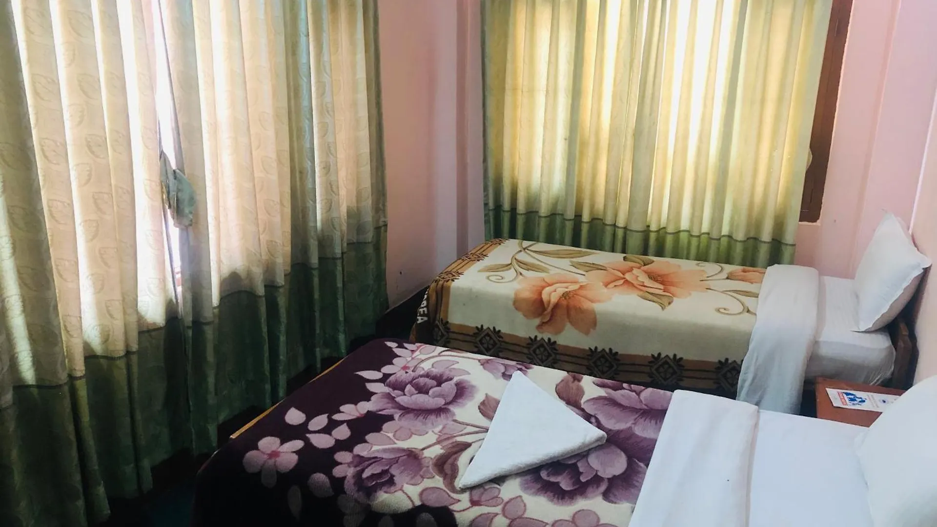 招待所 Hotel Green Orchid 加德满都