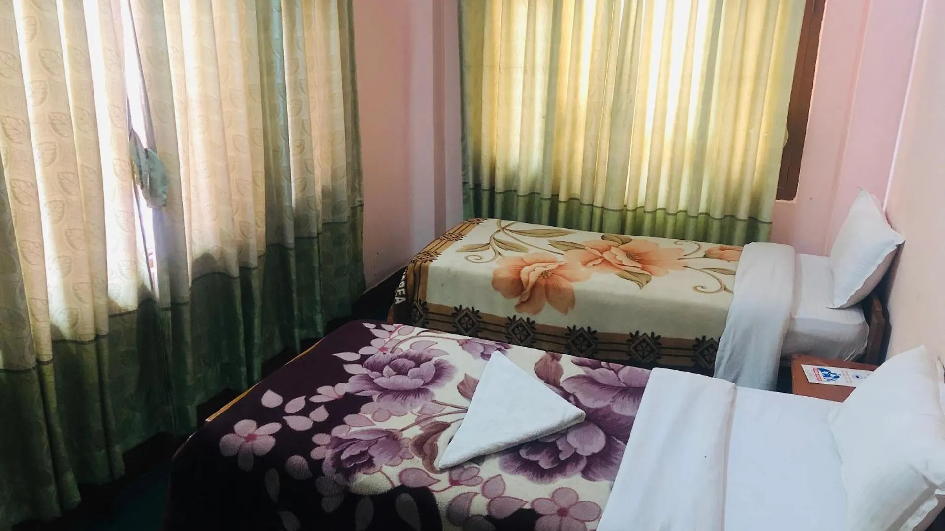 招待所 Hotel Green Orchid 加德满都